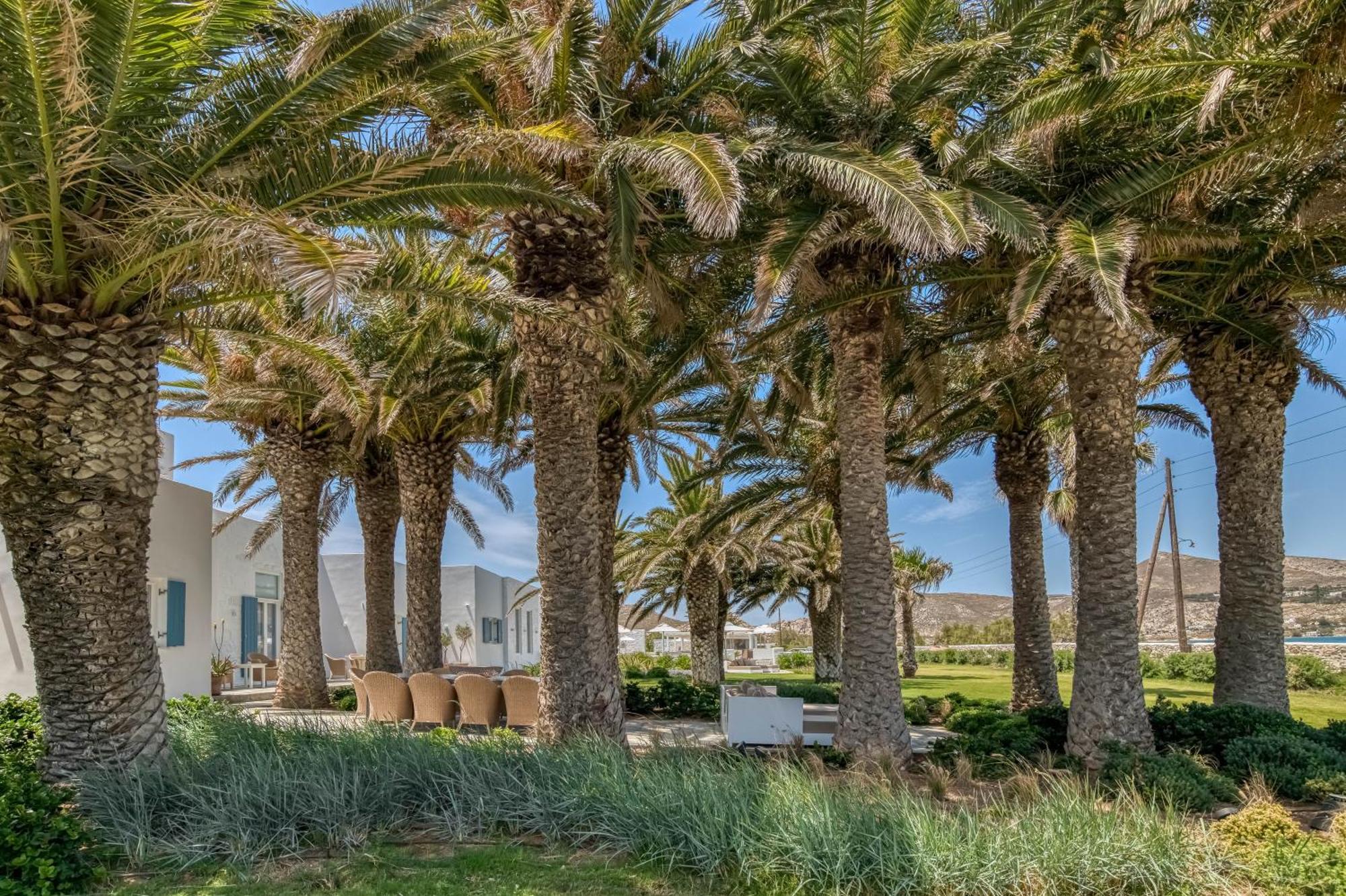 Villa Bellonia Náousa Eksteriør billede